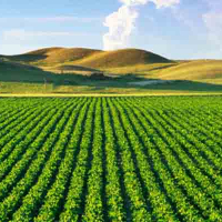 Près de 3800 investisseurs dans l’agriculture obtiennent des avantages d’une valeur de 111 Millions de Dinars