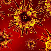 Épidémies : un nouveau guide de sensibilisation