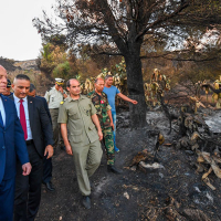 Saied inspecte les dégâts de l’incendie perpétré à Djebel Amdoun