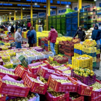Marché du gros de Bir El Kassaa : Hausse des prix de la plupart des légumes et poissons en décembre 2020
