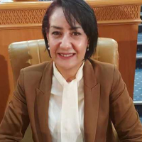 La députée Mounira Ayari entame une grève de la faim pour protester contre le laxisme du parlement face à la violence