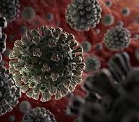 Près de 4 millions de Tunisiens ont contracté le Coronavirus depuis le début de la pandémie