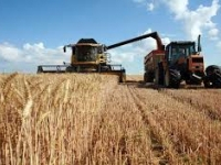 La récolte céréalière va dépasser les 20 millions de quintaux, au cours de cette campagne