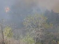 Le Kef : Incendie au Mont Ouerghi dans la délégation de Sakiet Sidi Youssef