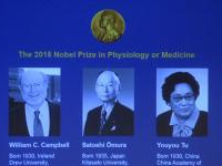 Le prix Nobel de médecine 2015 attribué conjointement à trois scientifiques