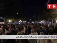 Les sympathisants d’Ennahdha manifestent pour soutenir le gouvernement Laârayedh