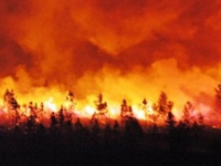Manouba: 50 hectares de forêt ravagés par les flammes