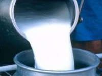 Manouba: Saisie de 2200 litres de lait périmé, le propriétaire arrêté
