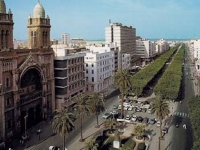 Ramadan : Un point de vente du producteur au consommateur s'installe à l'avenue Habib Bourguiba à partir du 4 mai 2019