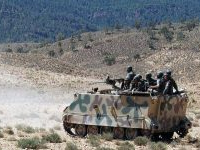 L’armée nationale pilonne le mont Mghila à Sidi Bouzid